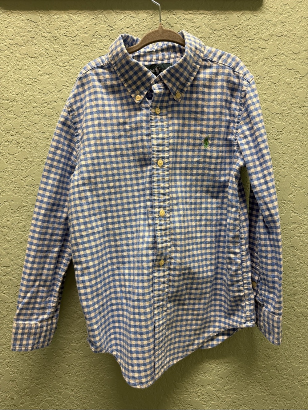 Ralph Lauren Blue and White Gingham Button-Down Shirt with Green Pony